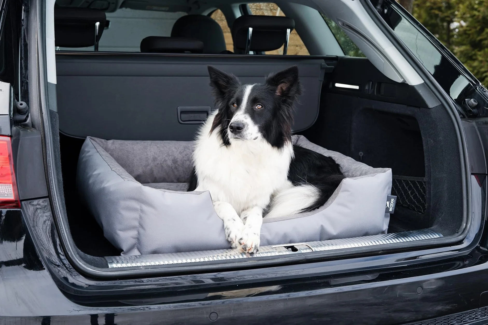 BedDog(R) legowisko dla psa LUPI L, sofa dla psa z Cordury, mikrofibra welurowa, zmywalne legowisko dla psa z brzegiem