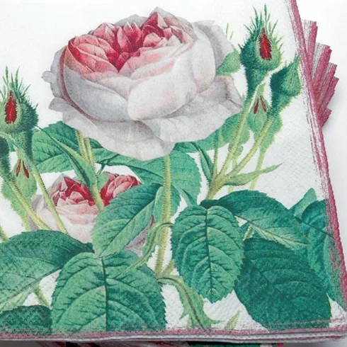 Serwetki jasne 20 sztuk Redoute Rose Roy Kirkham