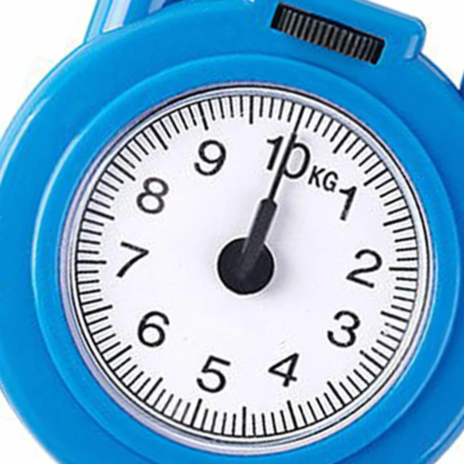 Waga Sprężynowa 10 kg Ręczna Waga Bagażowa z Hakiem BLUE