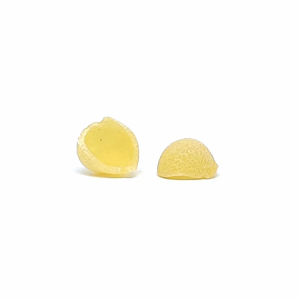 Pastidea - Matryca Orecchiette Piccole POM kompatybilna z maszynkami do makaronu Philips Avance i serii 7000