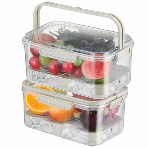 Pojemnik na przekąski, hermetyczny, przenośny, do przechowywania owoców, bez BPA, 2800 ml, chłodzony lodem talerz z pokrywką i uchwytem, zawiera stojak odpływowy na piknik