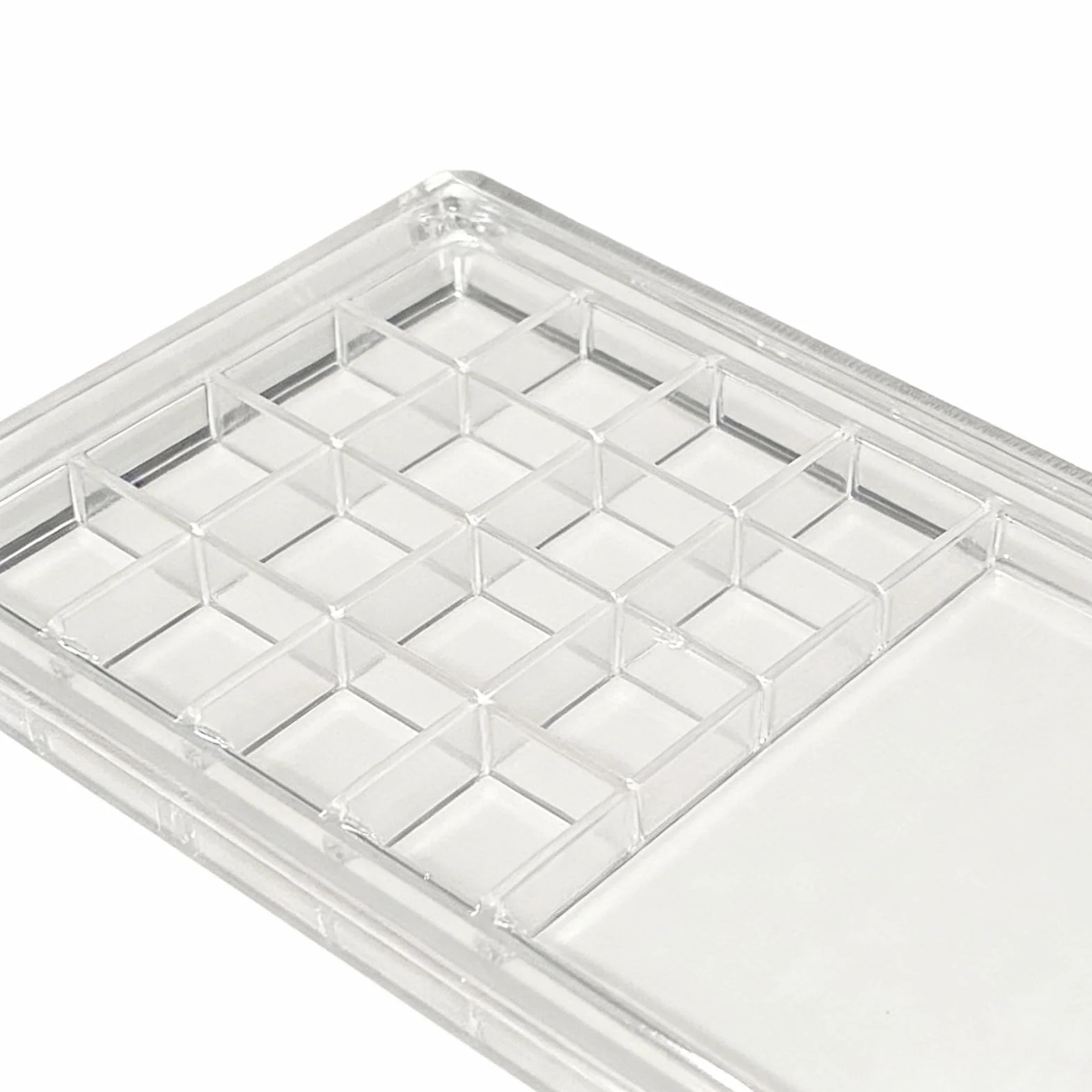 Seashell Collecting Storage Box, Magnetic Clear Acrylic Sea Shell Display Container, Acrylic Material, 17.8x11x1.4cm, for Beach Finds, Souvenirs