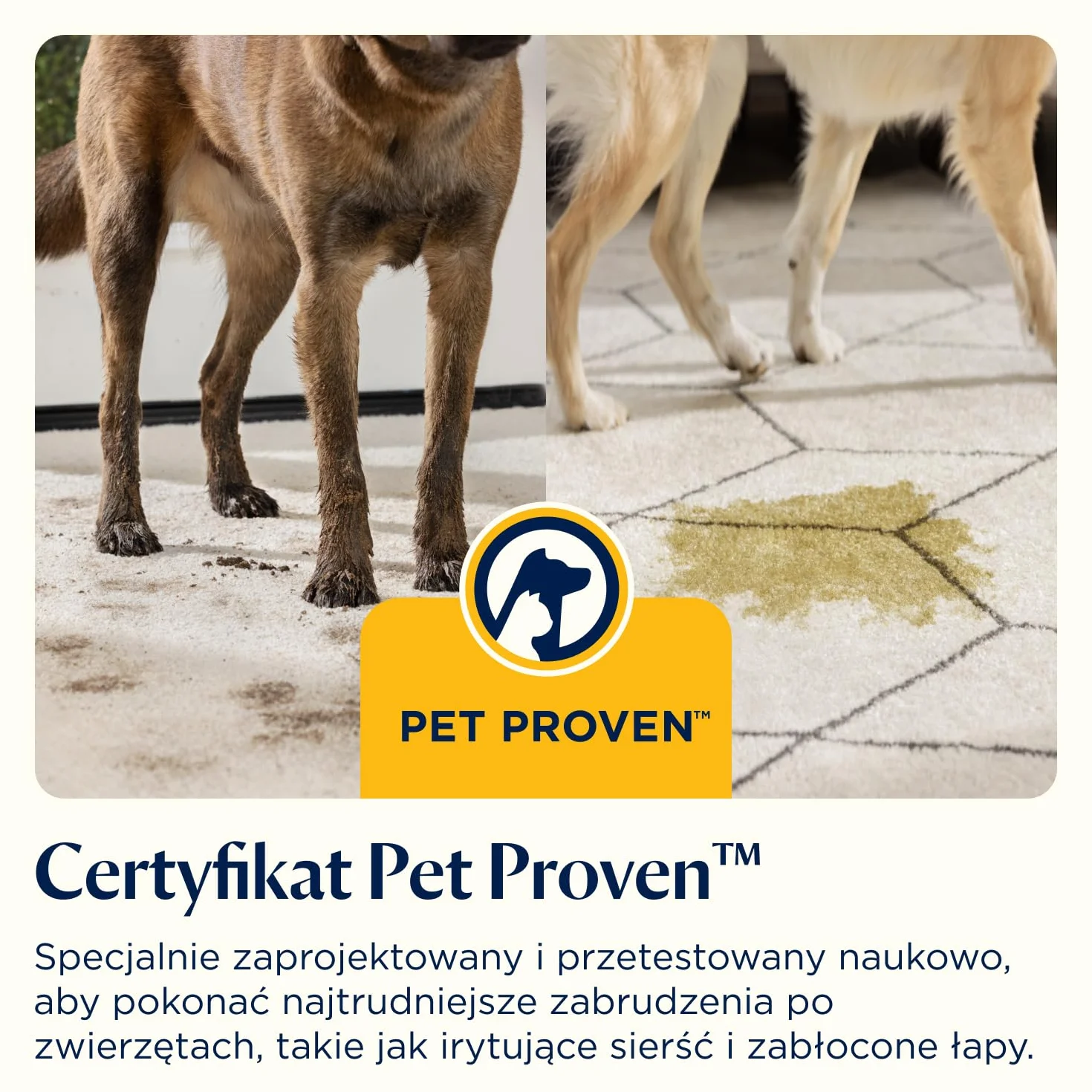 BISSELL SpotClean C5, Odkurzacz Piorący do Tapicerki, Odkurzacz do Dywanów z Systemem Triple Action, Lekka Odkurzacz do Prania Dywanów, Tapicerki, Samochodów, Kanapy i Innych, Mocny Silnik 400W, 3861N