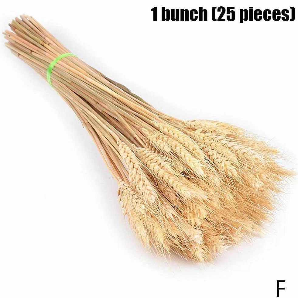 Suszone łodygi pszenicy 36 cm naturalne suszone kłosy pszenicy 25 sztuk do dekoracji