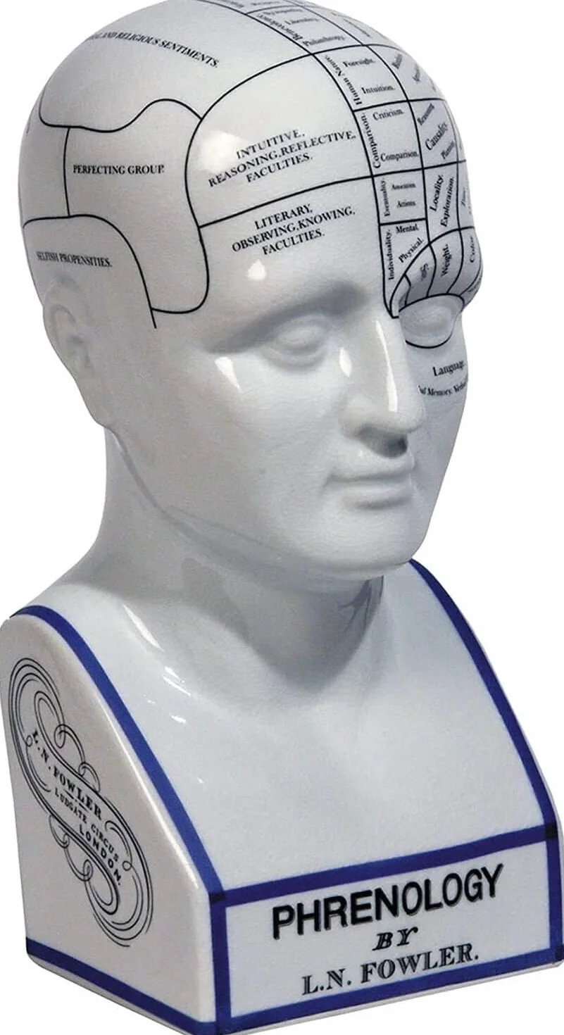 Głowa frenologiczna L.N fowler porcelana ceramiczna frenologia 30,5 cm antyczna