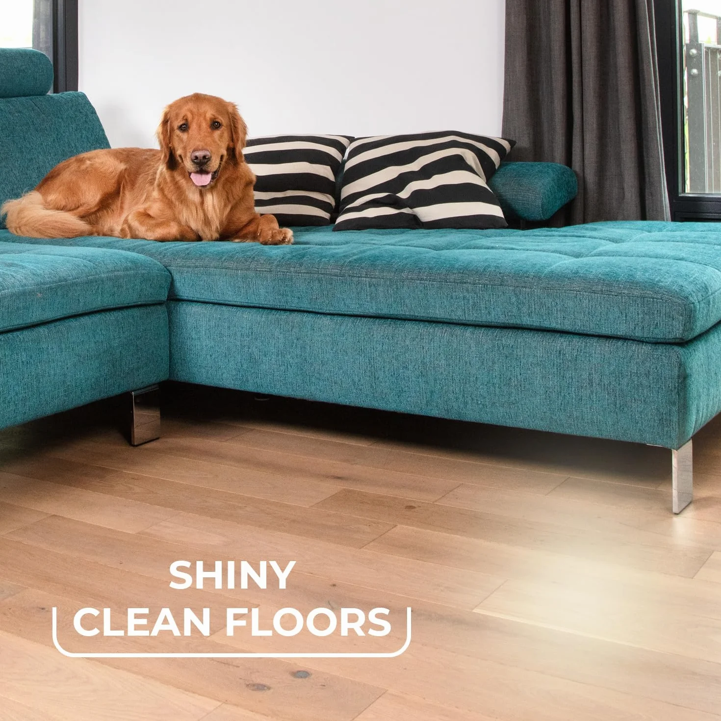 Vileda Pet Pro Szczotka do Zamiatania Sierści i Włosów Always Clean