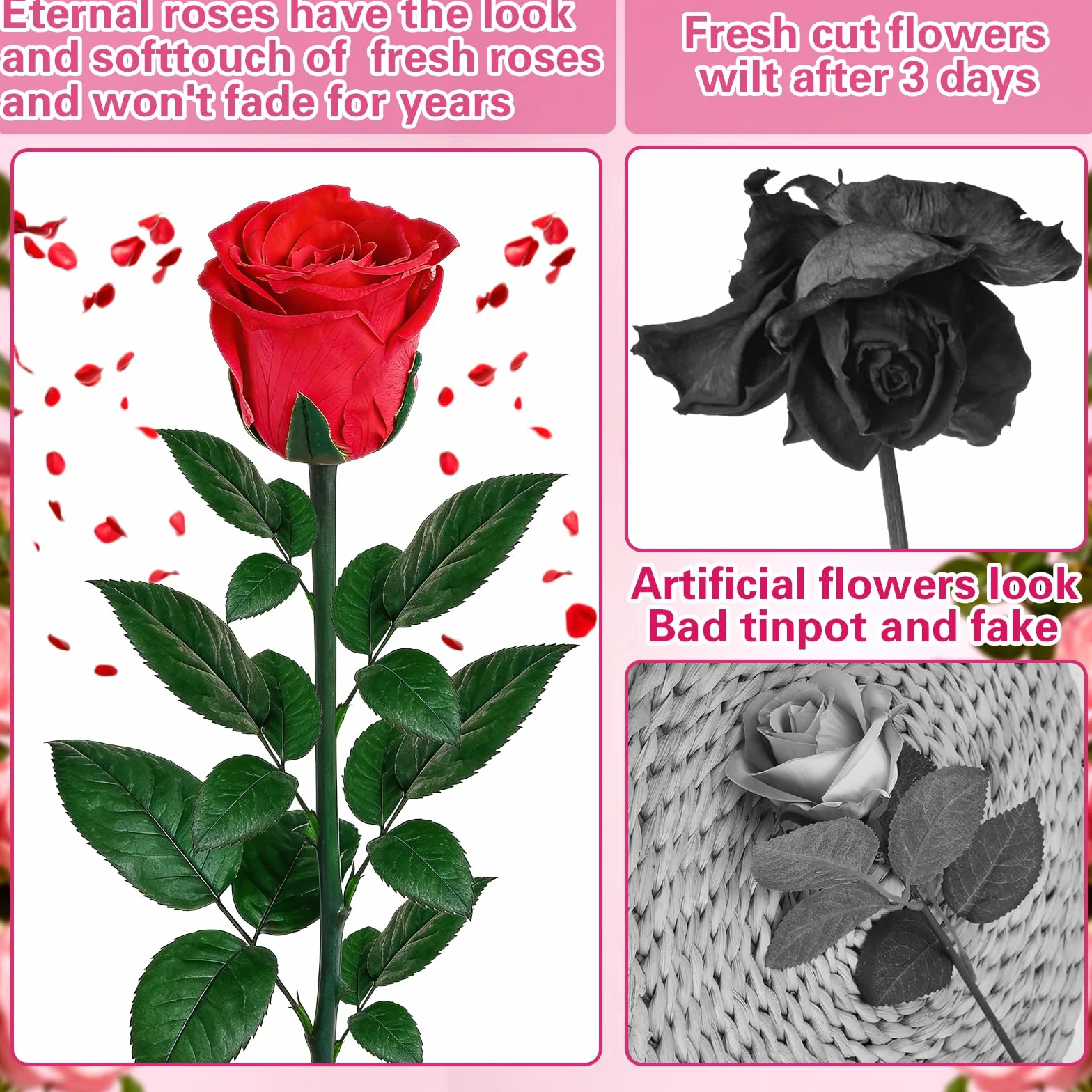 3 Infinity Rose, Wieczne Czerwone Róże Z łOdygami, Prawdziwa Róża Prezent Urodzinowy dla Kobiet, Zakonserwowany Kwiat Róż z PudełKiem na Dzień Matki Rocznica Walentynki BożE Narodzenie