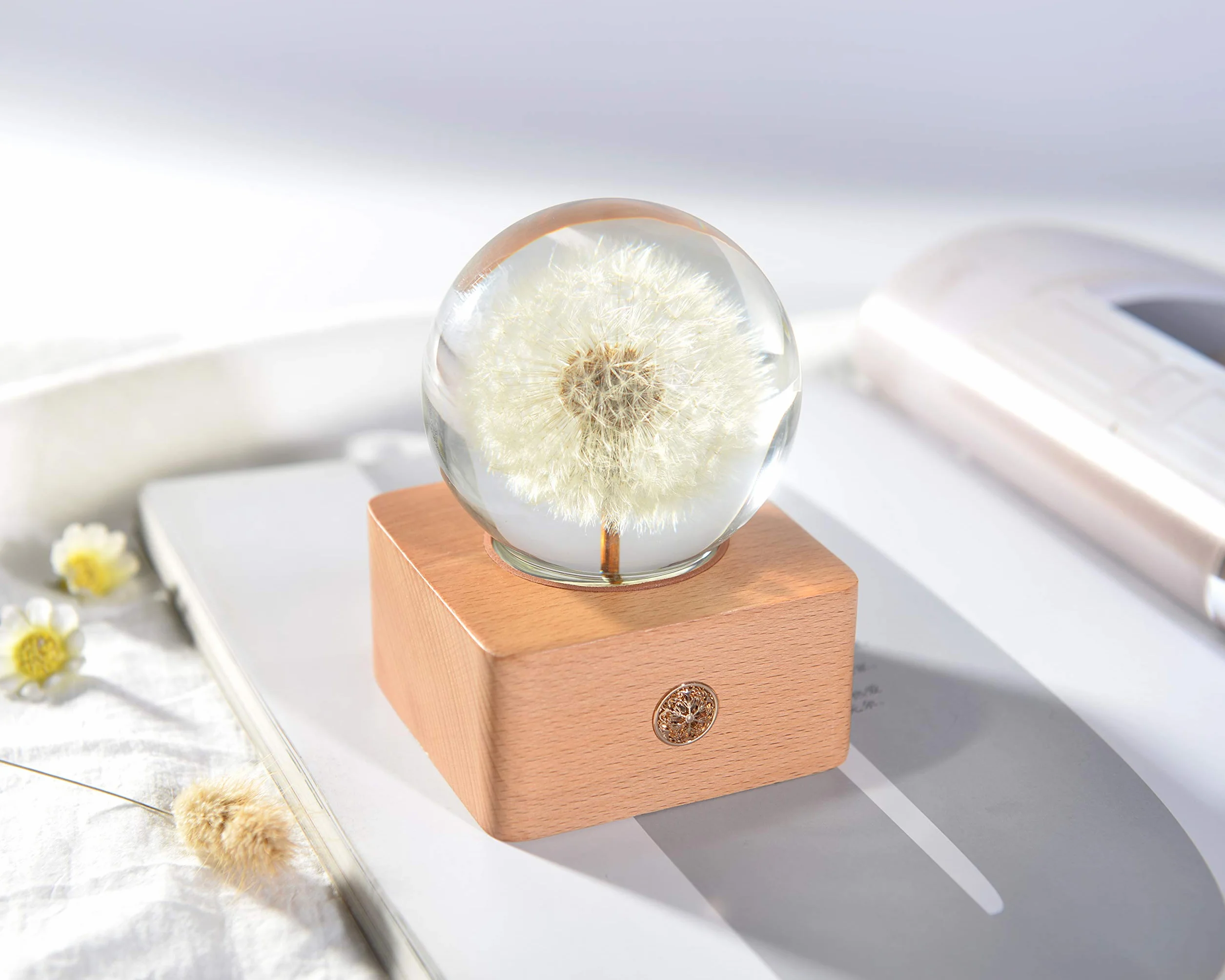 Dr. Pets MISS LI GARDEN Forever Dandelion Kulka Kryształowa z oświetleniem LED, Najlepsze prezenty dla żony, dziewczyny, kobiet, na rocznicę, Dzień Matki, urodziny, Walentynki, dekoracja domu (2
