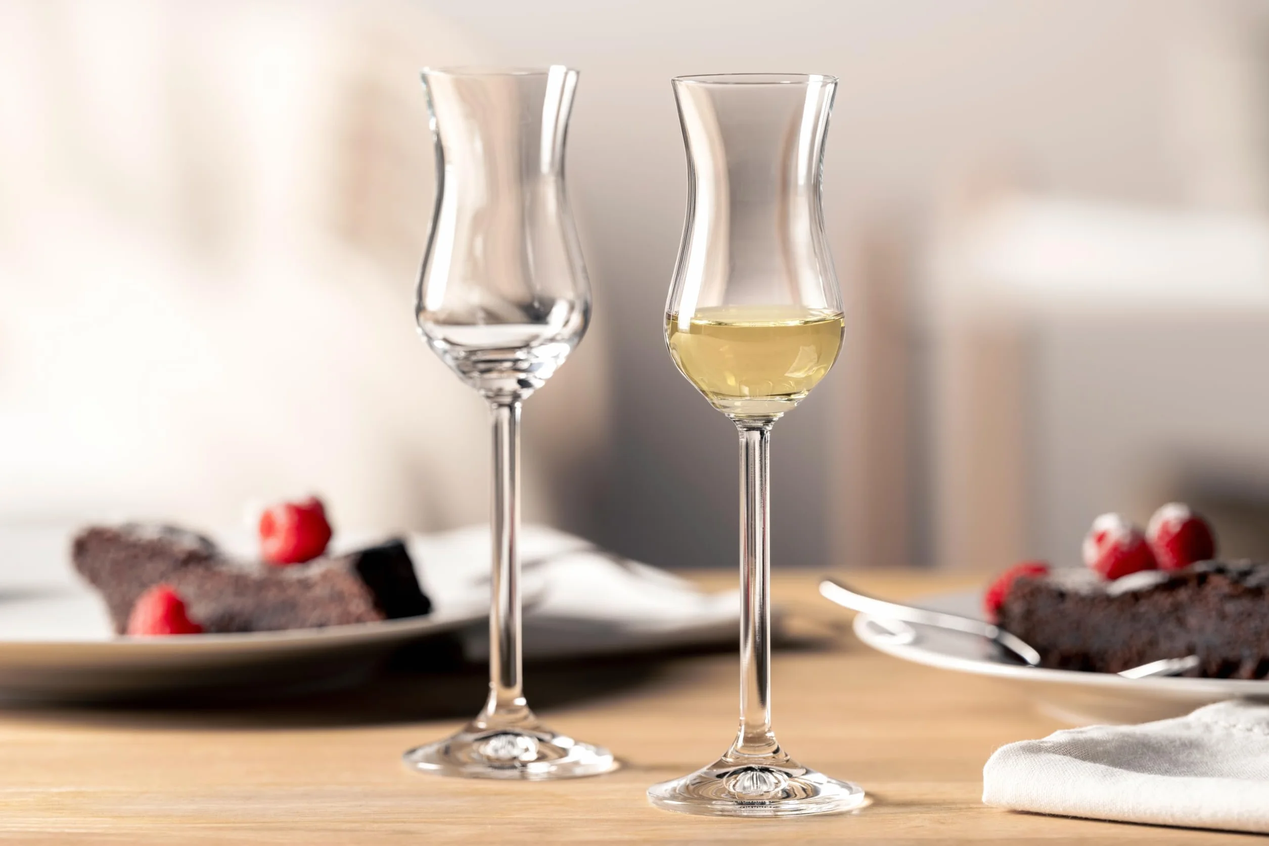 LEONARDO HOME Daily, wytrzymałe kieliszki do wódki Grappa, zestaw kieliszków o pojemności 100 ml, 6-częściowy, 6 sztuk (1 opakowanie), 6 sztuk