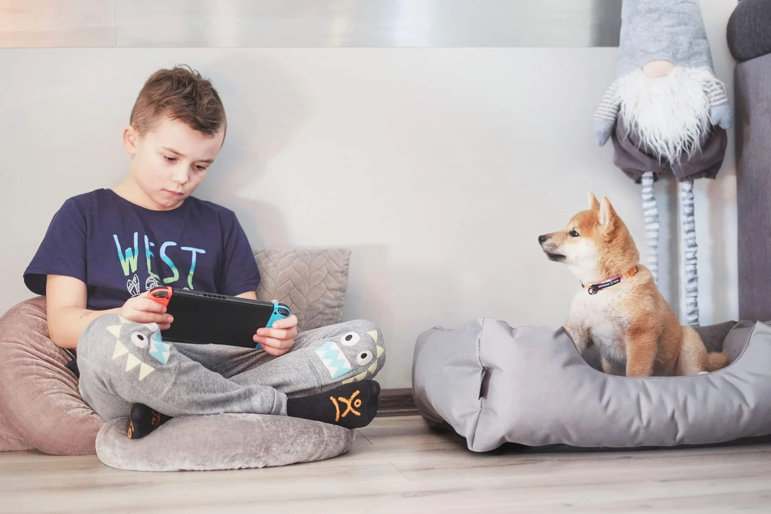 BedDog(R) legowisko dla psa LUPI L, sofa dla psa z Cordury, mikrofibra welurowa, zmywalne legowisko dla psa z brzegiem