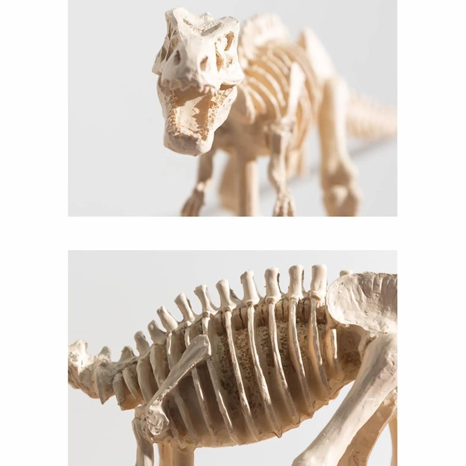 Rzeźby Realistyczna rzeźba szkieletu Tyrannosaurus Rex żywica dinozaur skamielina wystrój edukacyjna figurka kolekcjonerska Ornament