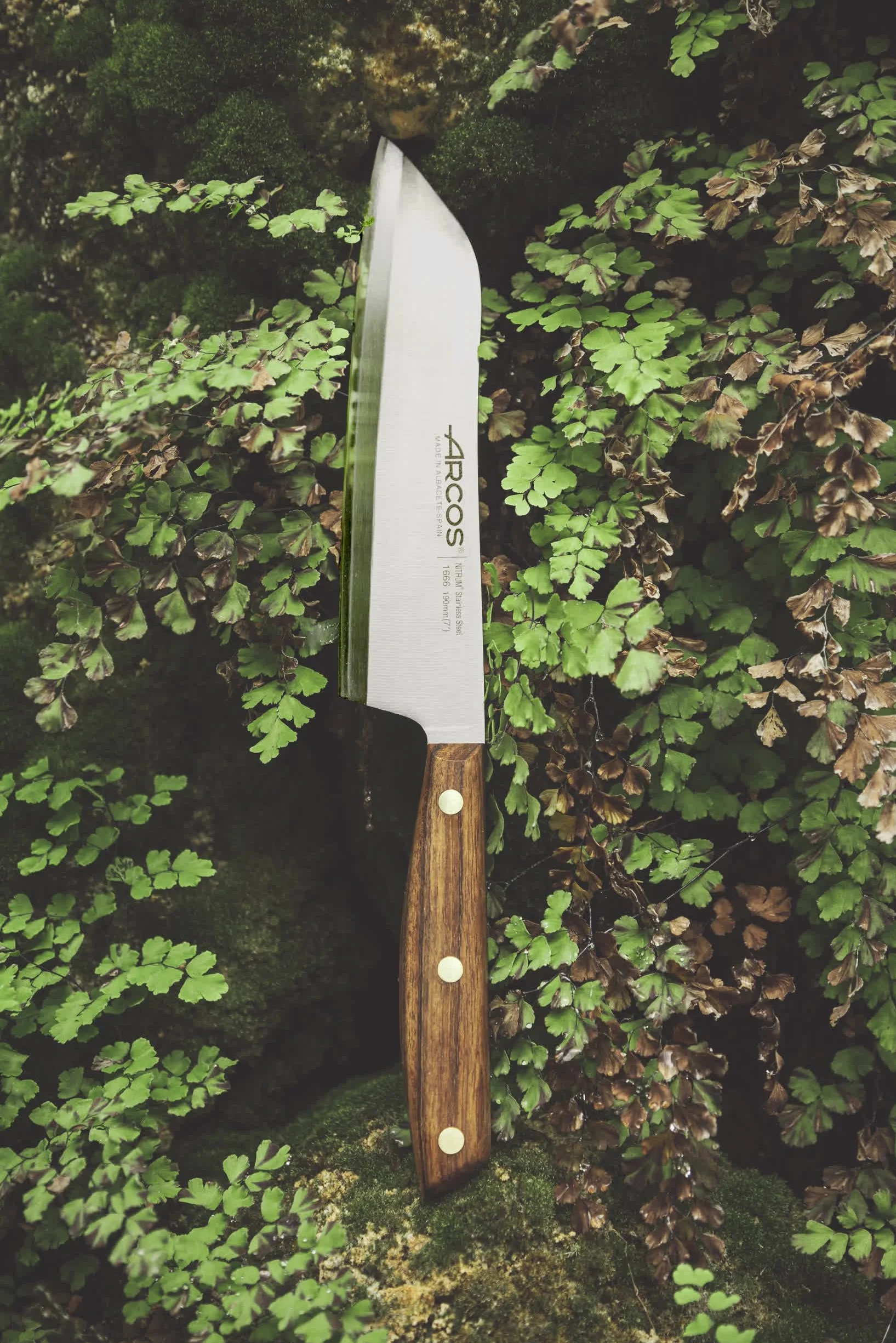 ARCOS Noże Santoku i ze stali. Japoński nóż kuchenny do ryb, mięsa i warzyw. Uchwyt z drewna Ovengkol 100% naturalnego FSC i ostrze 190mm. Seria Nordika. Kolor brązowy.