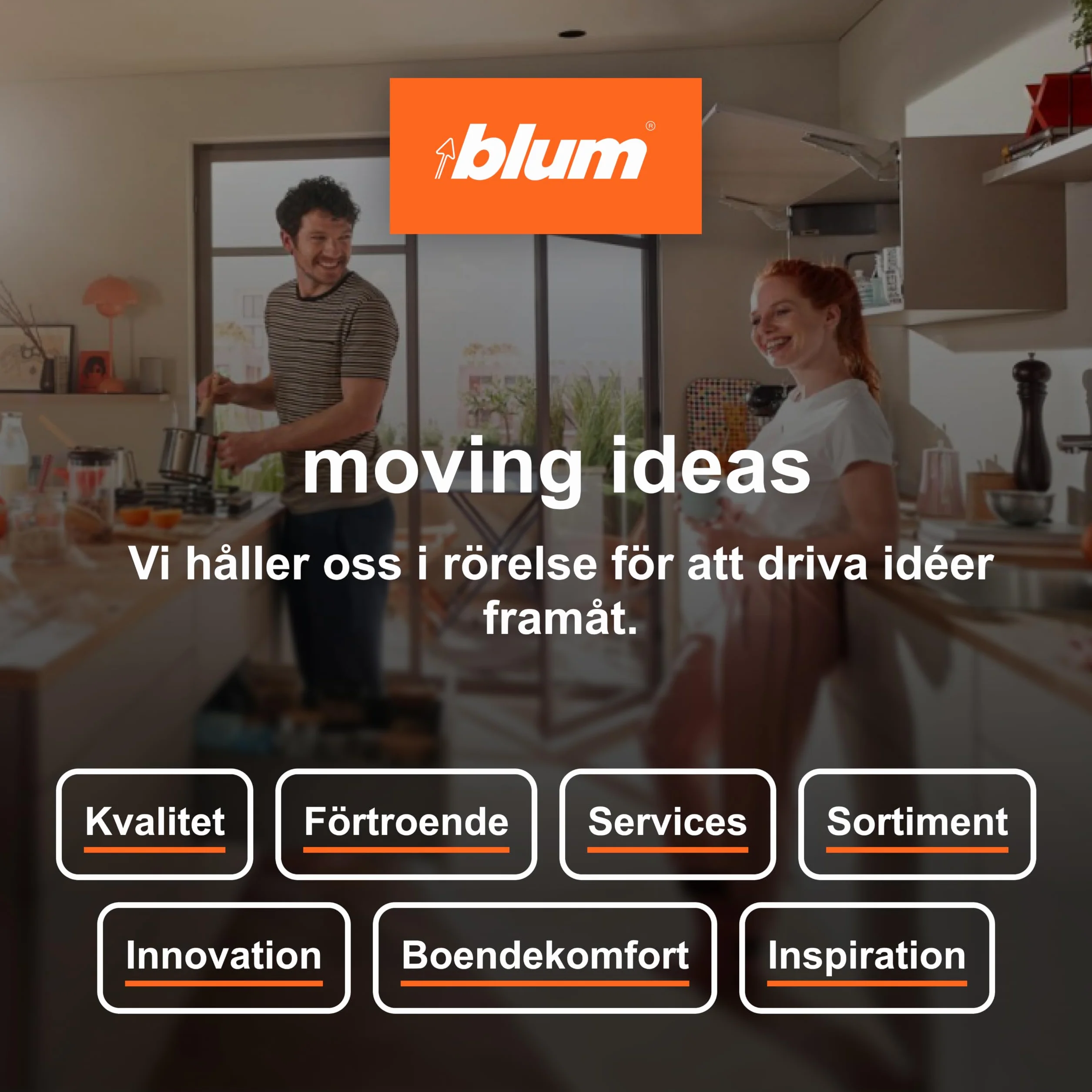 blum AMBIA-LINE wkład na sztućce | premium organizer szuflady do nowoczesnych kuchni i mebli | porządkuje sztućce | z nóżkami antypoślizgowymi | 42×30×5 cm | Dąb Nebraska