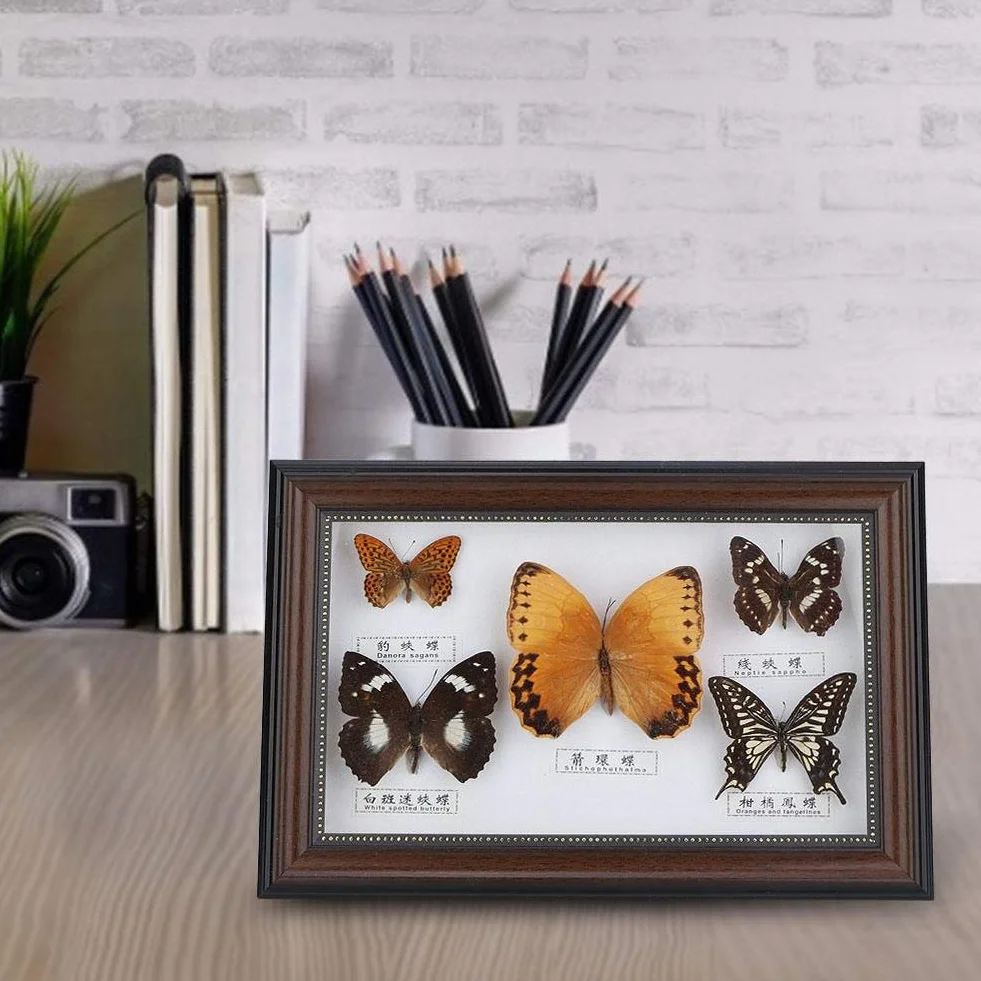 Exquisite Schmetterlinge Insekt Probe Handgemachtes für Freunde zu Hause Schmücken Ornament Schmetterling Wandkunst(Schwarz)