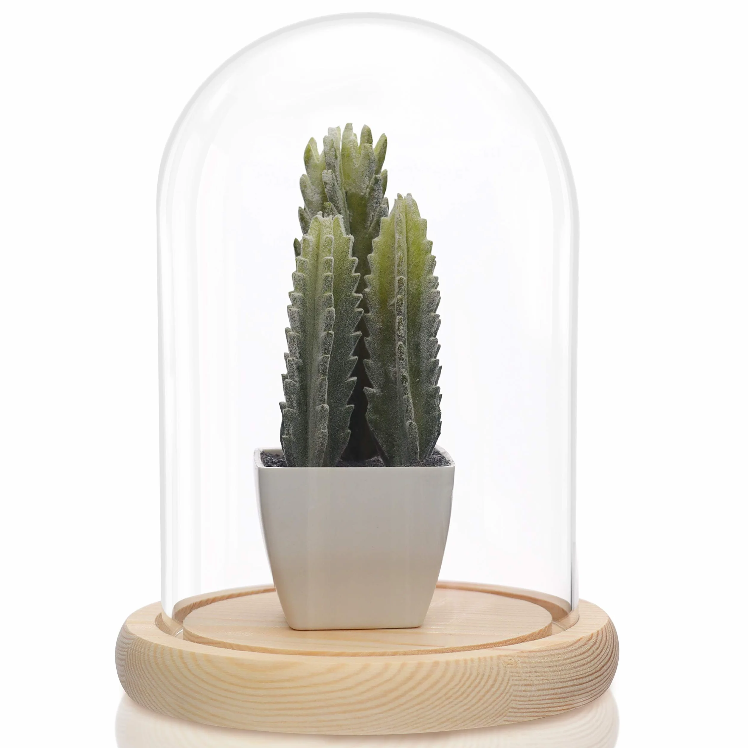 Belle Vous Szklany dzwonek z podstawą z naturalnego drewna - 20 cm - przezroczysty dekoracyjny szklany dzwonek z drewnianą tacą do świateł, dekoracji stołów, antyków