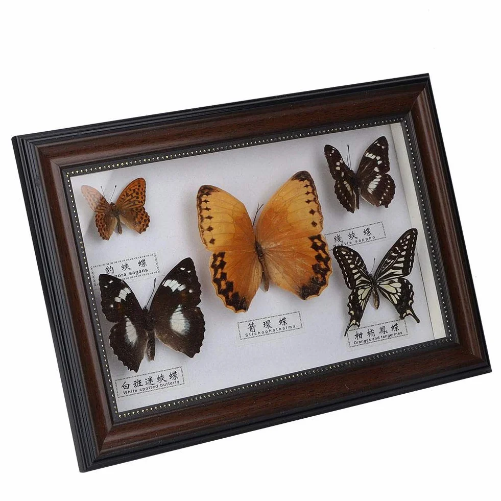 Exquisite Schmetterlinge Insekt Probe Handgemachtes für Freunde zu Hause Schmücken Ornament Schmetterling Wandkunst(Schwarz)