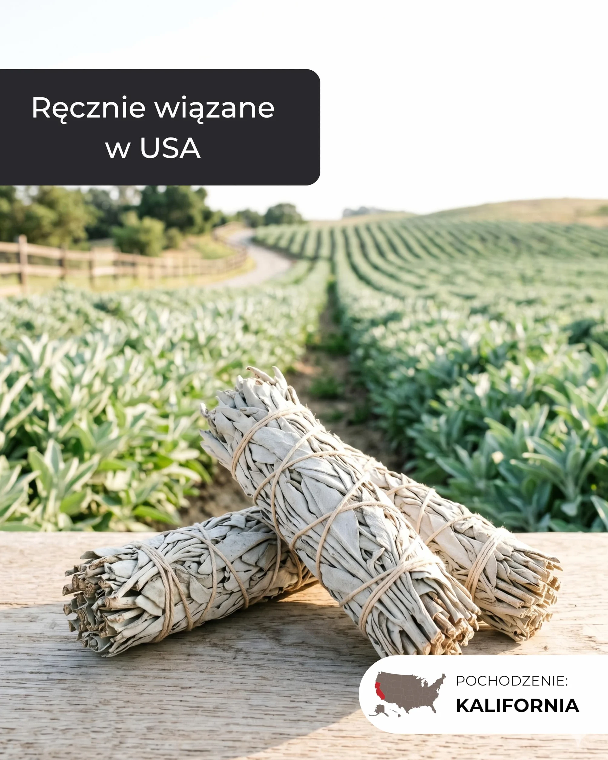 Incensera Biała szałwia, naturalne kadzidło, 3 pęczki, oczyszczanie przestrzeni, medytacja, pozytywna energia