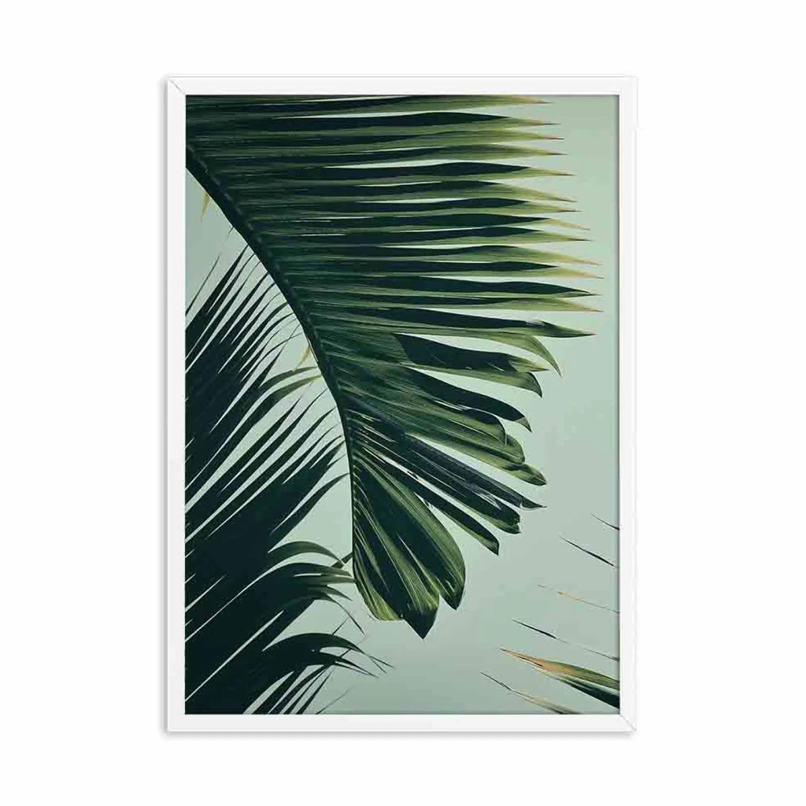 iYoucase Zielony liść palmowy plakaty i wydruki zielone liście sztuka ścienna obraz na płótnie natura obrazy ścienne do salonu sypialni wystrój domu 50 x 70 cm x 2 nieoprawione