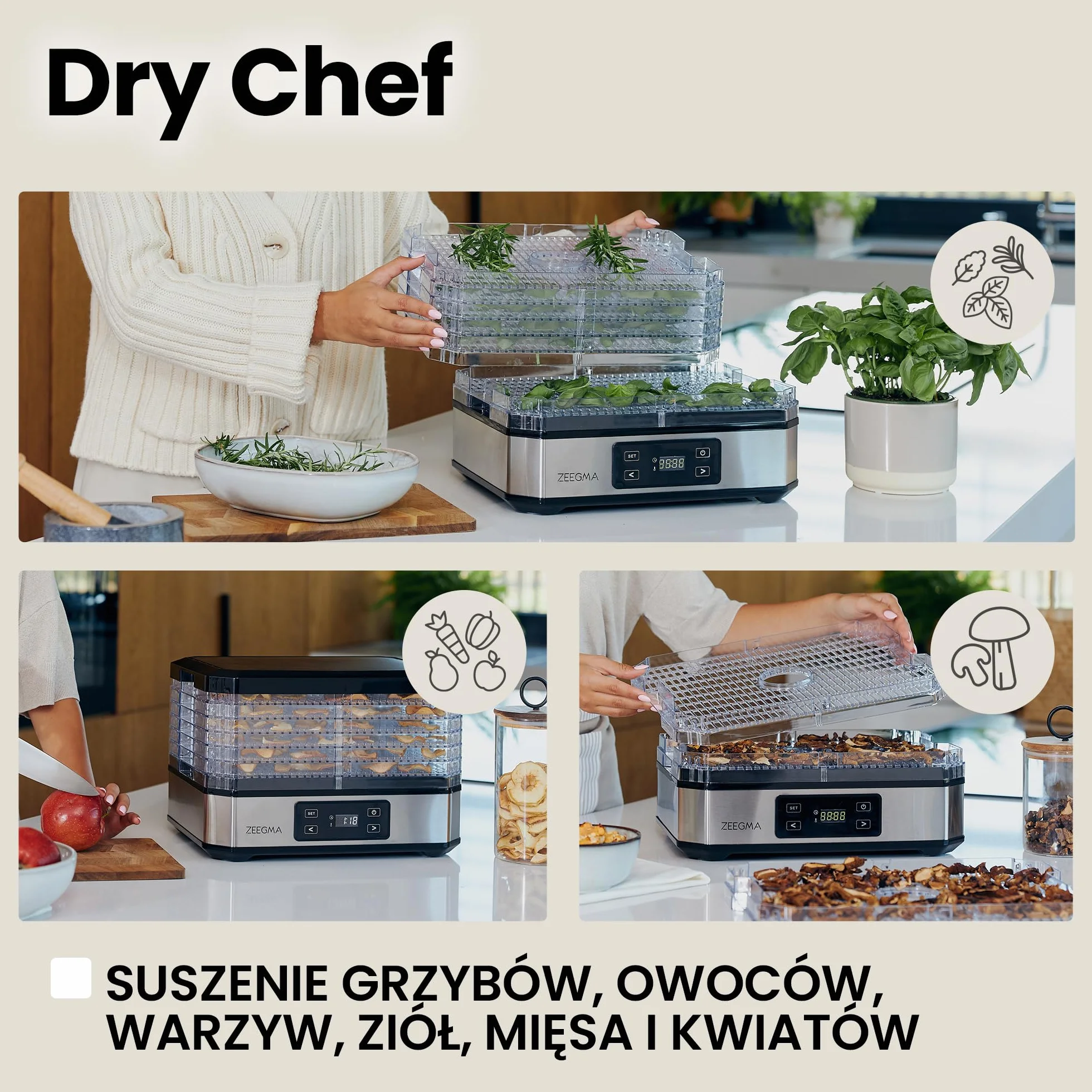ZEEGMA DRY CHEF Suszarka do Żywności do Grzybów Moc 500 W, Suszarka Spożywcza do Owoców i Warzyw, 6 Pudełek Sit, Regulacja Temperatury 35-70˚C, Termoobieg, Timer do 72 h