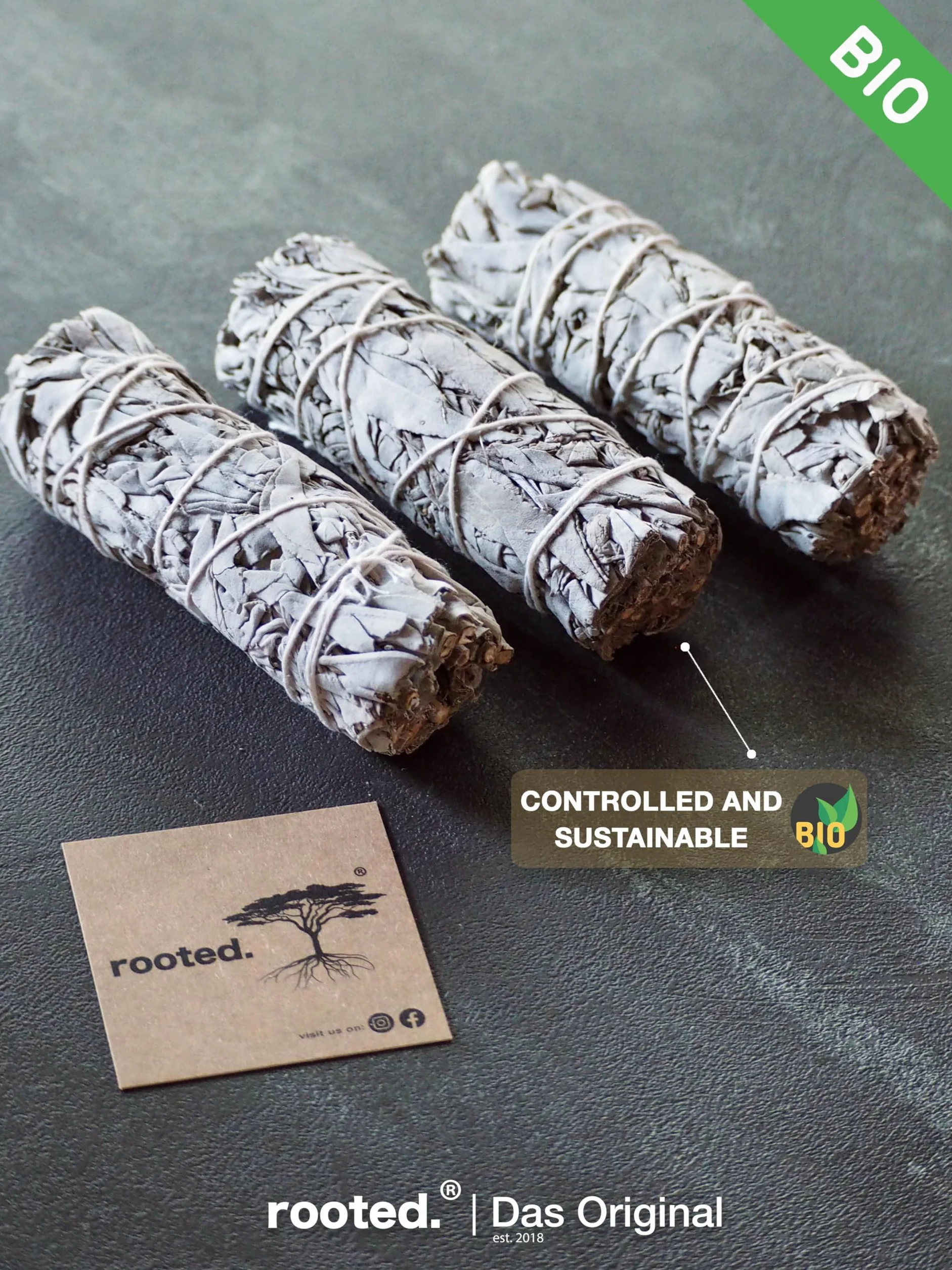 rooted.® | Oryginał | Biała szałwia | 3 pęczki kalifornijskiej szałwii | Premium Smudge Sticks | Indiańska szałwia do okadzania | 100% kontrolowane i zrównoważone zbiory