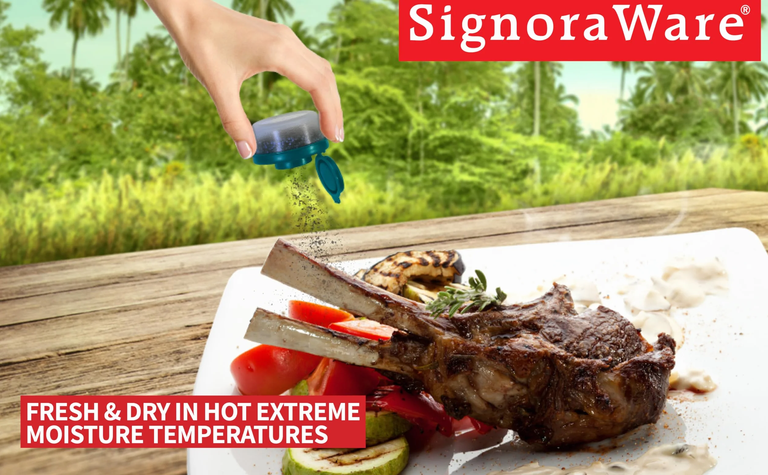 SIGNORAWARE Solniczka i pieprzniczka, odporne na wilgoć, zestaw 2 małych mini solniczek na wynos, kemping, piknik, do kuchni, pudełka na lunch, podróżny, zestaw przypraw, przezroczyste, z czerwonymi