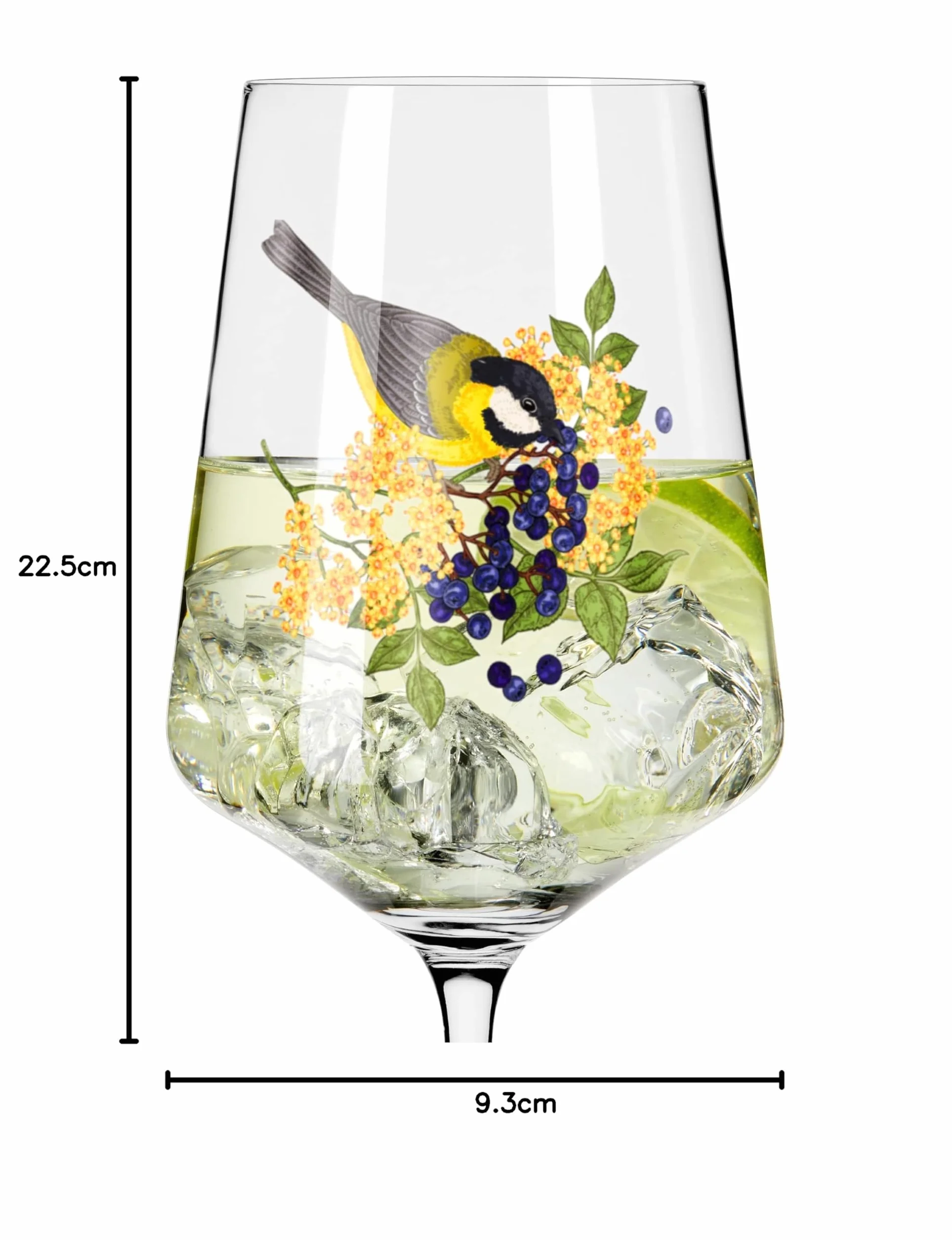 RITZENHOFF 2931015 Hugo słoik 500 ml - słoik na aperitif - seria letnia lina - motyw 15 z kolorowym ptakiem - Made in Germany