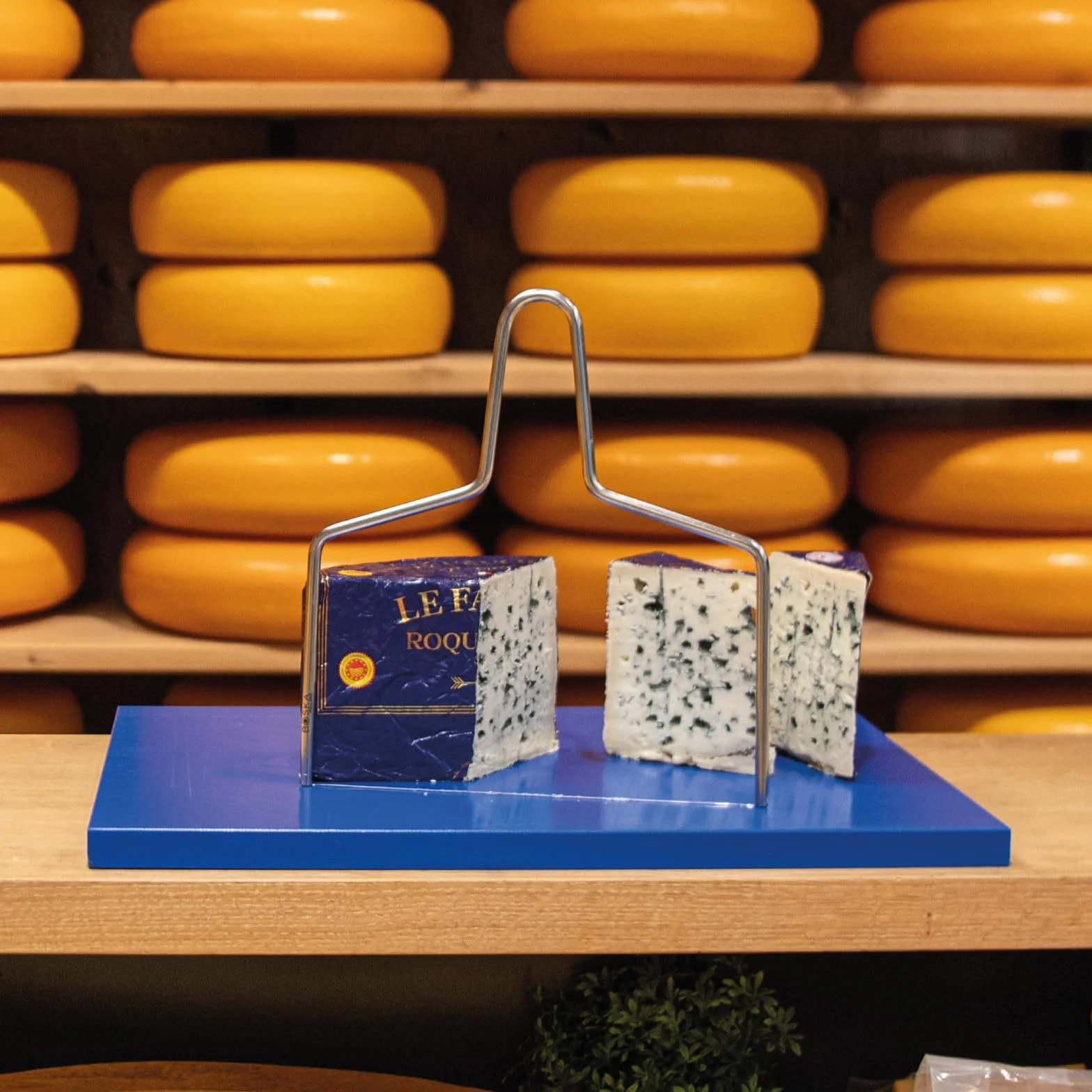 Boska Holland Professional 602524 Roquefort nóż do sera łukowego, stal nierdzewna, srebrny