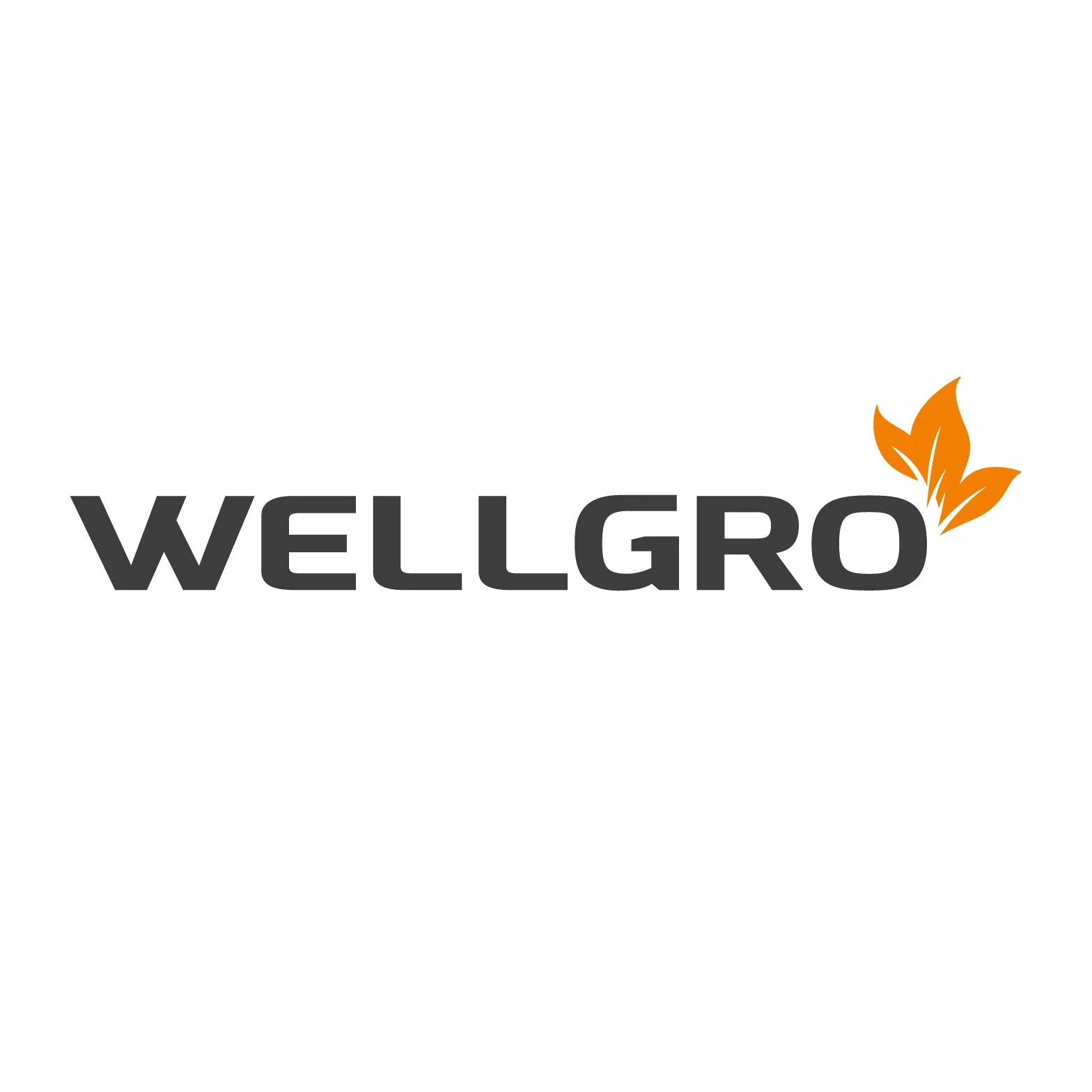 Kieliszki do szampana WELLGRO zestaw 150 ml nietłukące BPA