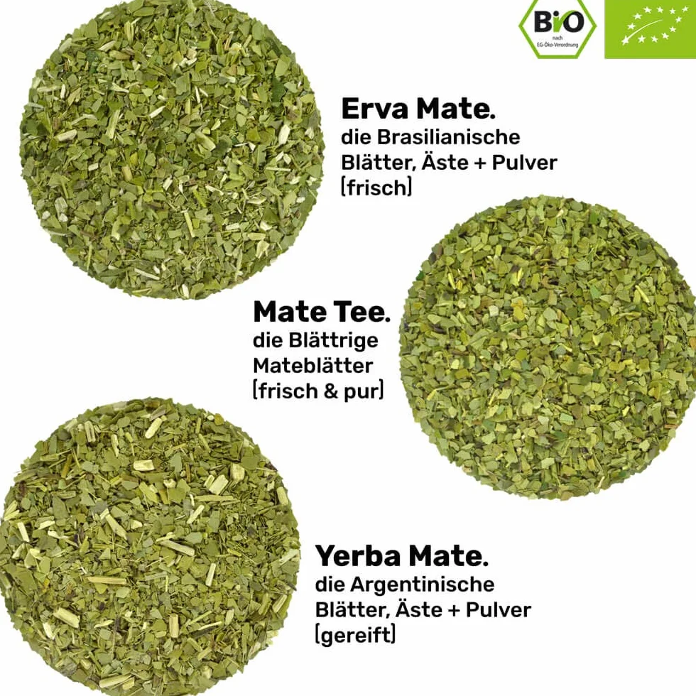 caámate. Mate zestaw do herbaty Bio ● 3 rodzaje matesów + 2 kubki do maty ze stali nierdzewnej o podwójnych ściankach + 2 kubki bombilla + instrukcja przygotowania (zielony)